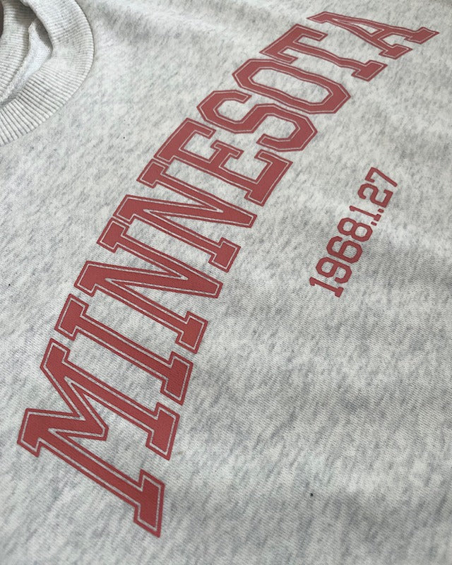 カレッジロゴクロップドプルオーバー