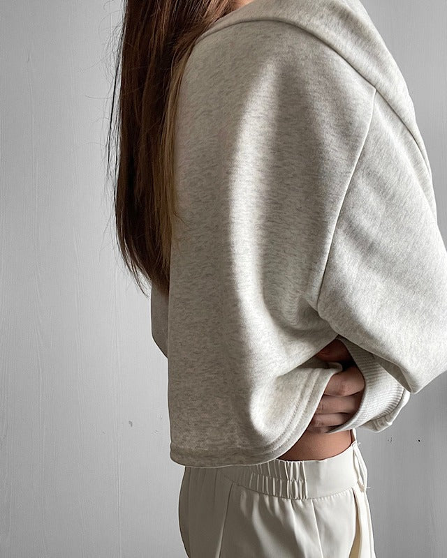 カレッジロゴクロップドプルオーバー