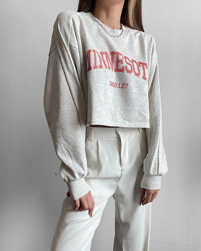 カレッジロゴクロップドプルオーバー