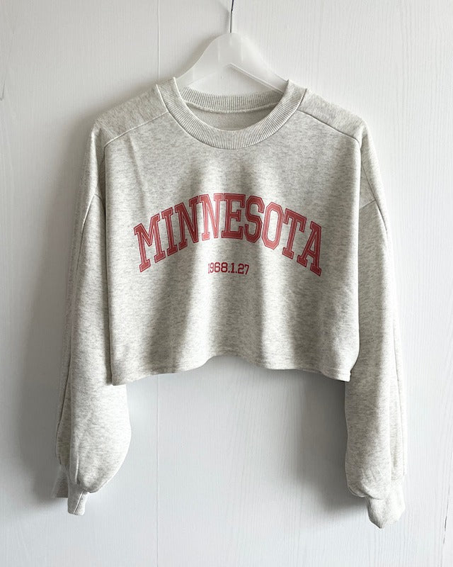 カレッジロゴクロップドプルオーバー