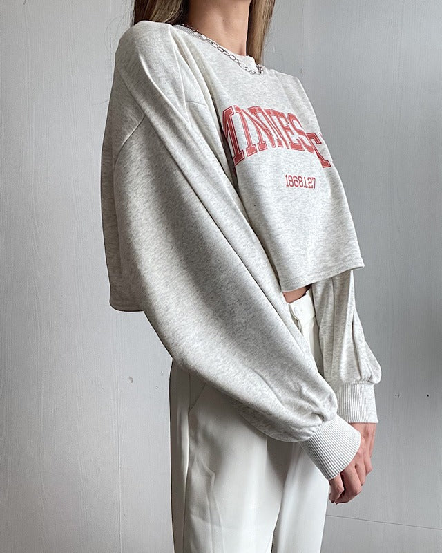 カレッジロゴクロップドプルオーバー