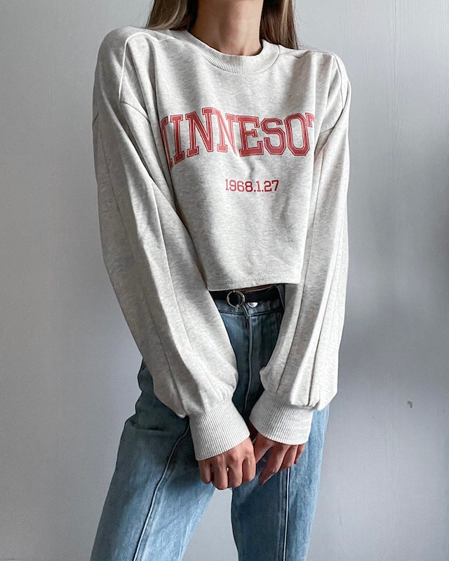 カレッジロゴクロップドプルオーバー