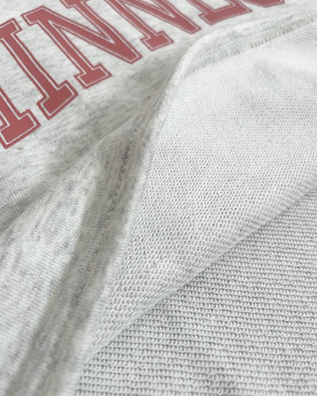 カレッジロゴクロップドプルオーバー